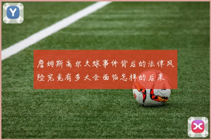 詹姆斯高尔夫球事件背后的法律风险究竟有多大会面临怎样的后果