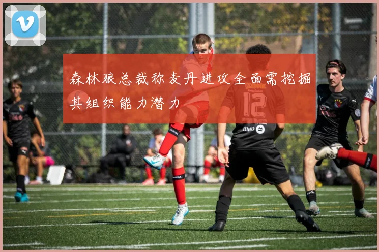 森林狼总裁称麦丹进攻全面需挖掘其组织能力潜力